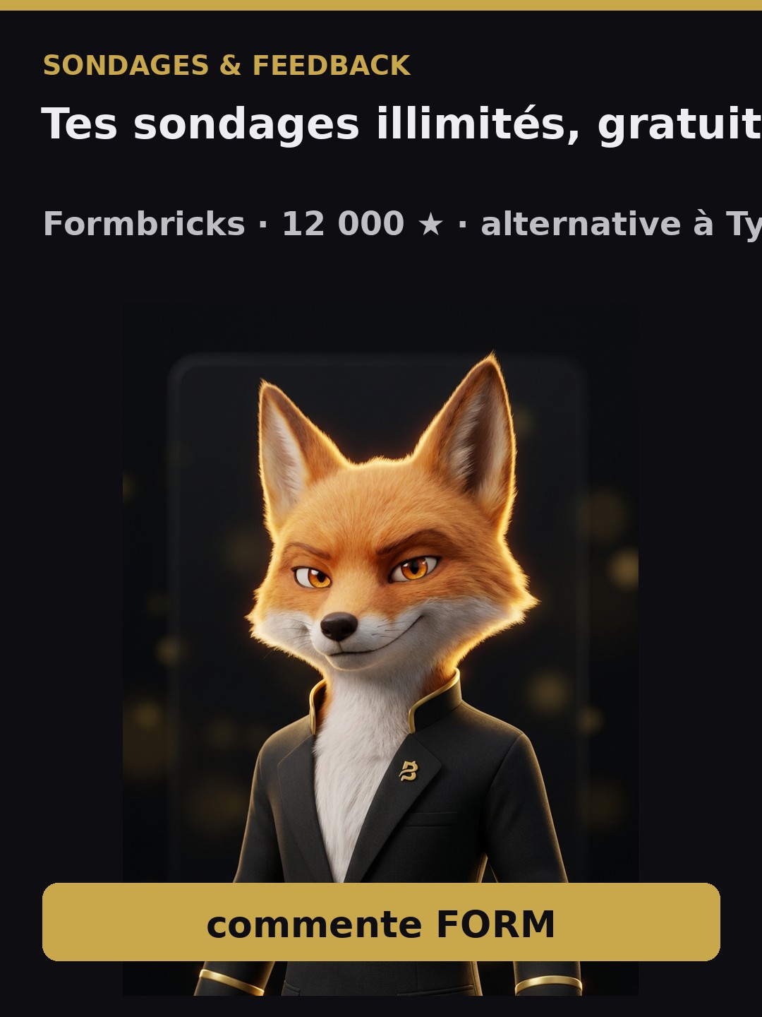 Formbricks — tes sondages illimités, gratuits et chez toi