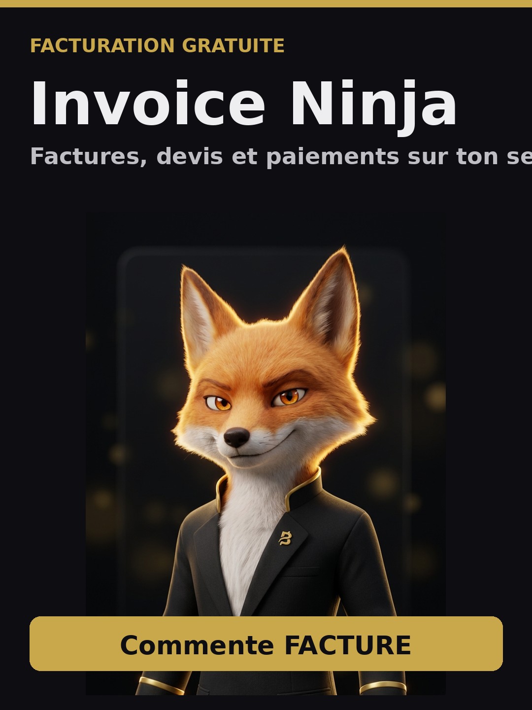Invoice Ninja — la facturation gratuite sur ton serveur