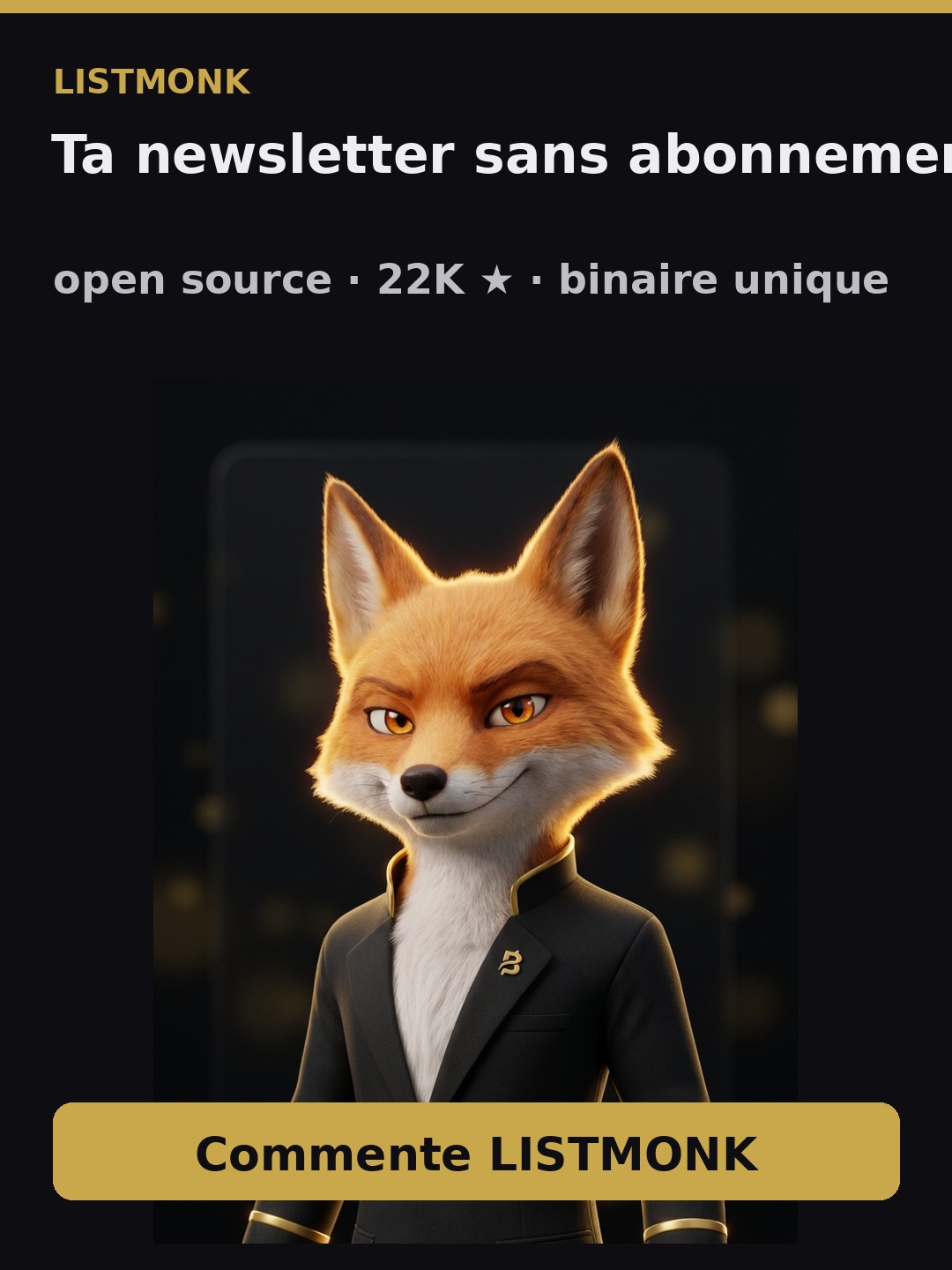 listmonk — ta newsletter auto-hébergée, sans abonnement